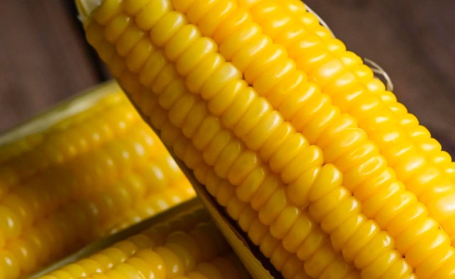 Comida eventsadmy 19